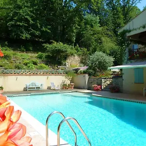 Mille Fleurs Castres (Tarn)